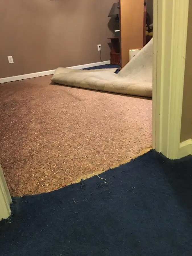 Carpet pad removal revealing water damage during Water Mitigation Services in Normal