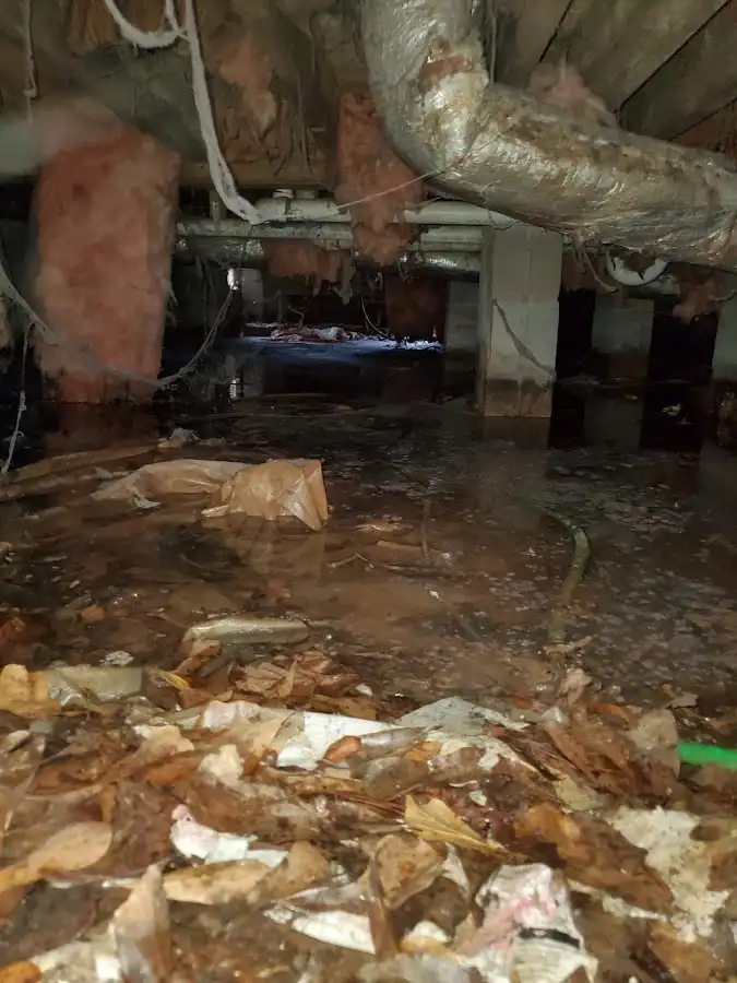Crawl space flood assessment for Commercial Water Damage Restoration in Normal