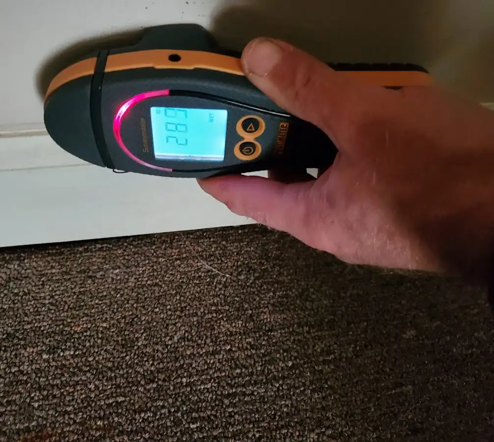 Moisture detection at baseboard during Sewage Cleanup & Sanitation in Normal
